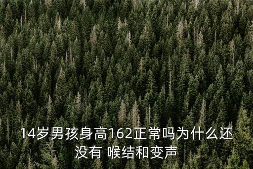 14歲男孩身高162正常嗎為什么還沒有 喉結和變聲
