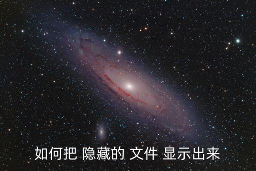 如何把 隱藏的 文件 顯示出來
