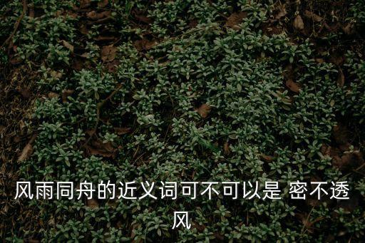 風雨同舟的近義詞可不可以是 密不透風