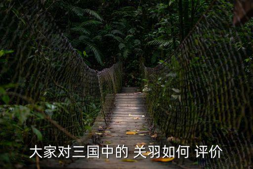 大家對三國中的 關羽如何 評價