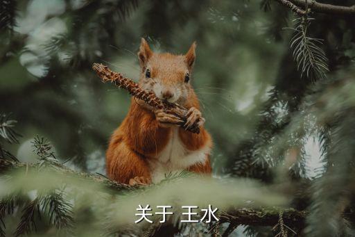 王水的成分,水王漿王水有很強氧化能力一度被認為是酸中之王