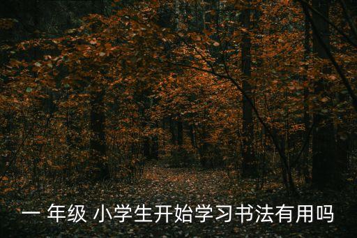 一 年級(jí) 小學(xué)生開(kāi)始學(xué)習(xí)書法有用嗎