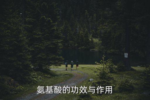 精氨酸的作用與功效,關于氨基酸的作用和功效