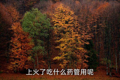 上火了吃什么藥管用呢