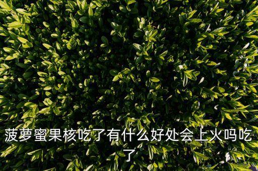 菠蘿蜜核的功效與作用，菠蘿蜜果核吃了有什么好處會上火嗎吃了