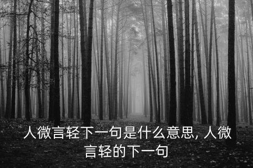  人微言輕下一句是什么意思, 人微言輕的下一句