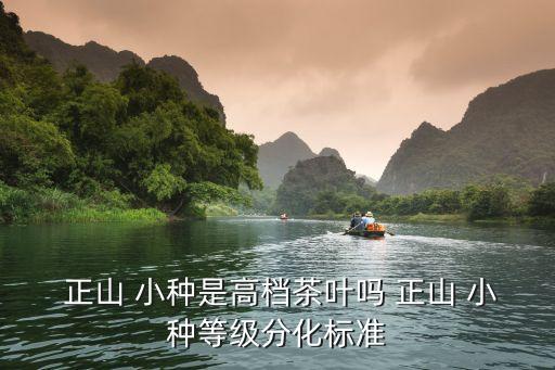  正山 小種是高檔茶葉嗎 正山 小種等級(jí)分化標(biāo)準(zhǔn)