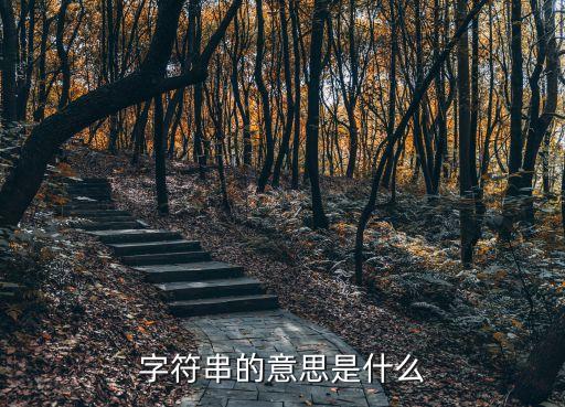 字符串的意思是什么