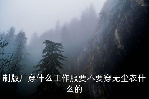 東莞勁勝電子廠穿什么工衣，東莞長安勁勝電子廠