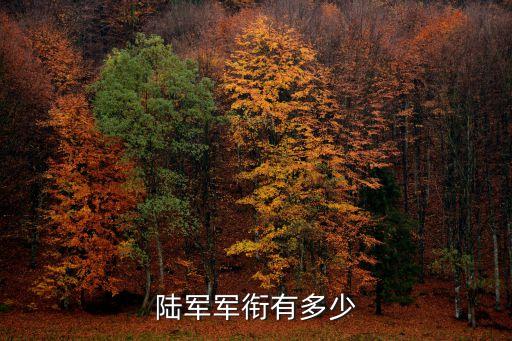 陸軍軍銜，陸軍軍銜有多少