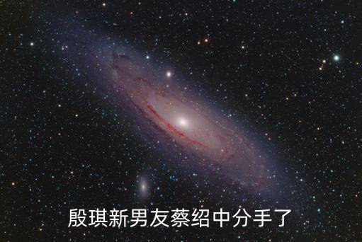殷琪新男友蔡紹中分手了