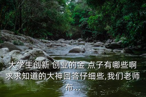 大學(xué)生創(chuàng)新 創(chuàng)業(yè)的金 點(diǎn)子有哪些啊求求知道的大神回答仔細(xì)些,我們老師布...