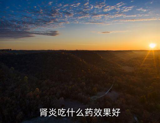 腎炎吃什么藥，腎炎吃什么藥效果好