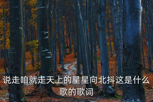 說走咱就走，說走咱就走天上的星星向北抖這是什么歌的歌詞