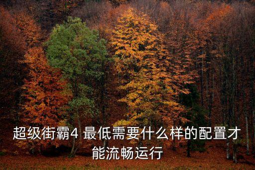 超級街霸4 最低需要什么樣的配置才能流暢運行