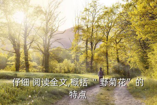 野菊花閱讀,從野菊花中汲取靈感寫作文章寓意深遠