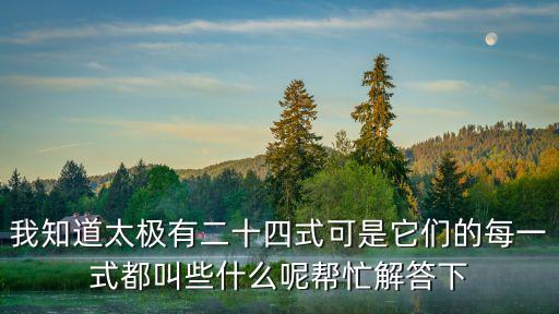 太極二十四式名稱，我知道太極有二十四式可是它們的每一式都叫些什么呢幫忙解答下
