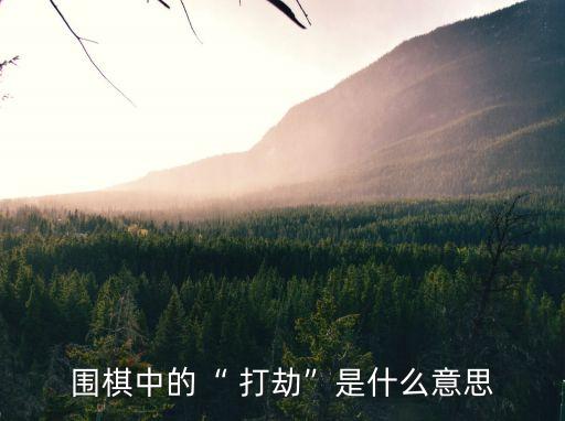 圍棋中的“ 打劫”是什么意思