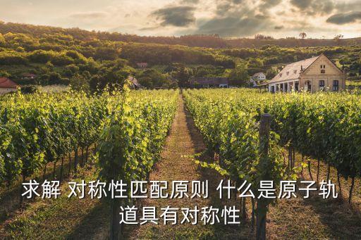 求解 對稱性匹配原則 什么是原子軌道具有對稱性