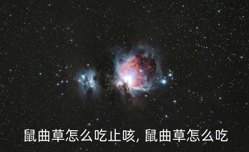  鼠曲草怎么吃止咳, 鼠曲草怎么吃
