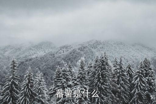 蕃薯是什么