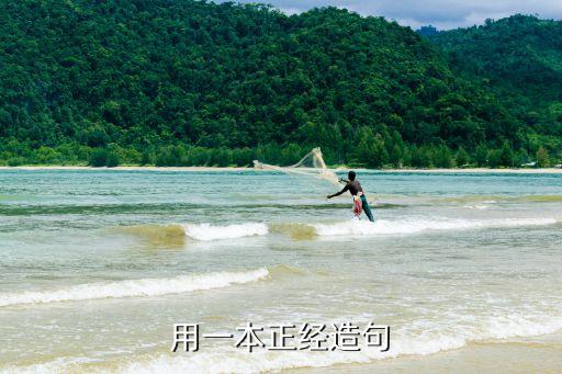 一本正經造句，一本正經怎樣造句短在15個字