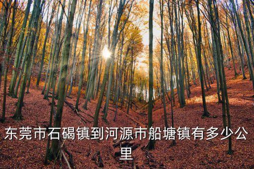 廣東東莞石源物流，我在東莞石排擺一個關于小商品的地攤想請教高人哪里有物美價廉