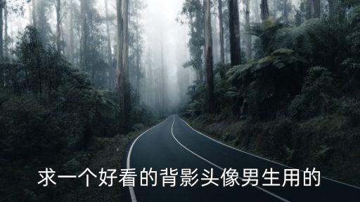 頭像男背影，背影的男生頭像