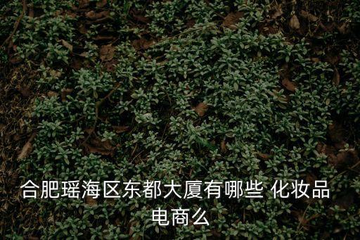 合肥瑤海區東都大廈有哪些 化妝品 電商么