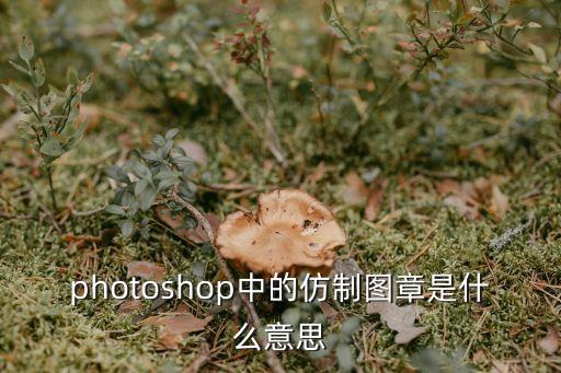 photoshop中的仿制圖章是什么意思