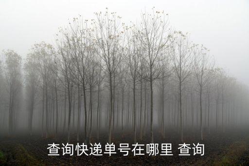 快單號查詢,快遞單號查詢流程!