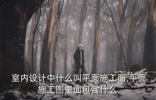  室內(nèi)設(shè)計中什么叫平面施工圖,平面施工圖里面包含什么
