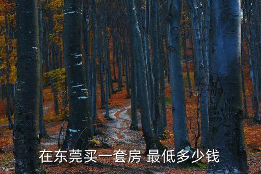 東莞金地世紀(jì)城房?jī)r(jià)，在東莞買一套房 最低多少錢