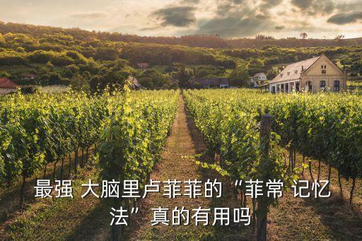  最強(qiáng) 大腦里盧菲菲的“菲常 記憶法”真的有用嗎