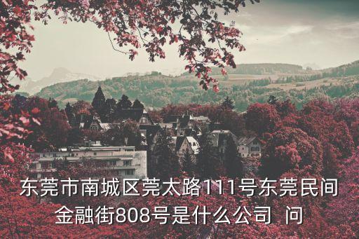 東莞市南城區莞太路111號東莞民間金融街808號是什么公司  問