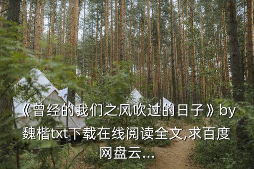 《曾經的我們之風吹過的日子》by 魏楷txt下載在線閱讀全文,求百度網盤云...