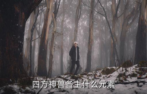 四方神獸各主什么元素