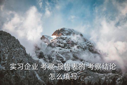 個人考察報告,考察結論:實習企業整體評價要從多方面考察