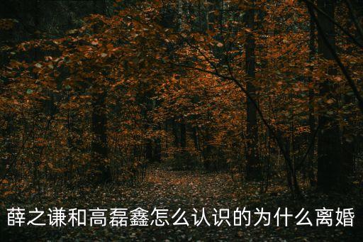 薛之謙和高磊鑫怎么認識的為什么離婚