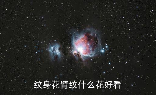 花臂紋身圖案大全，紋身花臂紋什么花好看