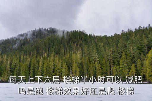 每天上下六層 樓梯半小時可以 減肥嗎是跑 樓梯效果好還是爬 樓梯