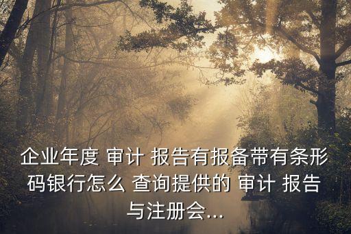 企業年度 審計 報告有報備帶有條形碼銀行怎么 查詢提供的 審計 報告與注冊會...