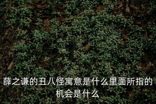 薛之謙的丑八怪寓意是什么里面所指的機(jī)會(huì)是什么