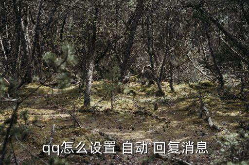  qq怎么設(shè)置 自動(dòng) 回復(fù)消息