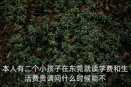 本人有二個小孩子在東莞就讀學費和生活費貴請問什么時候能不