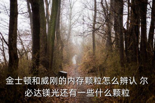 金士頓和威剛的內存顆粒怎么辨認 爾必達鎂光還有一些什么顆粒