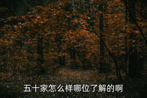 五十家，五十家裝修品質(zhì)如何