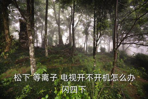  松下 等離子 電視開不開機怎么辦閃四下