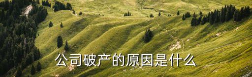 企業破產，公司破產的原因是什么