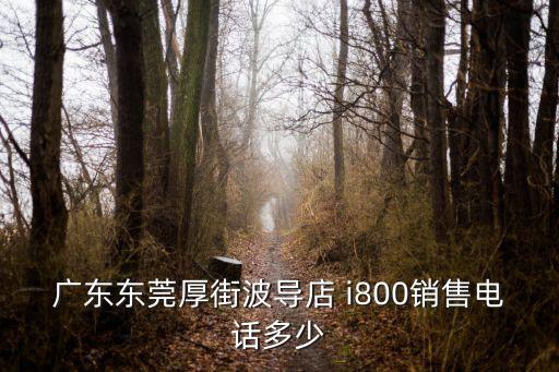 廣東東莞厚街波導店 i800銷售電話多少